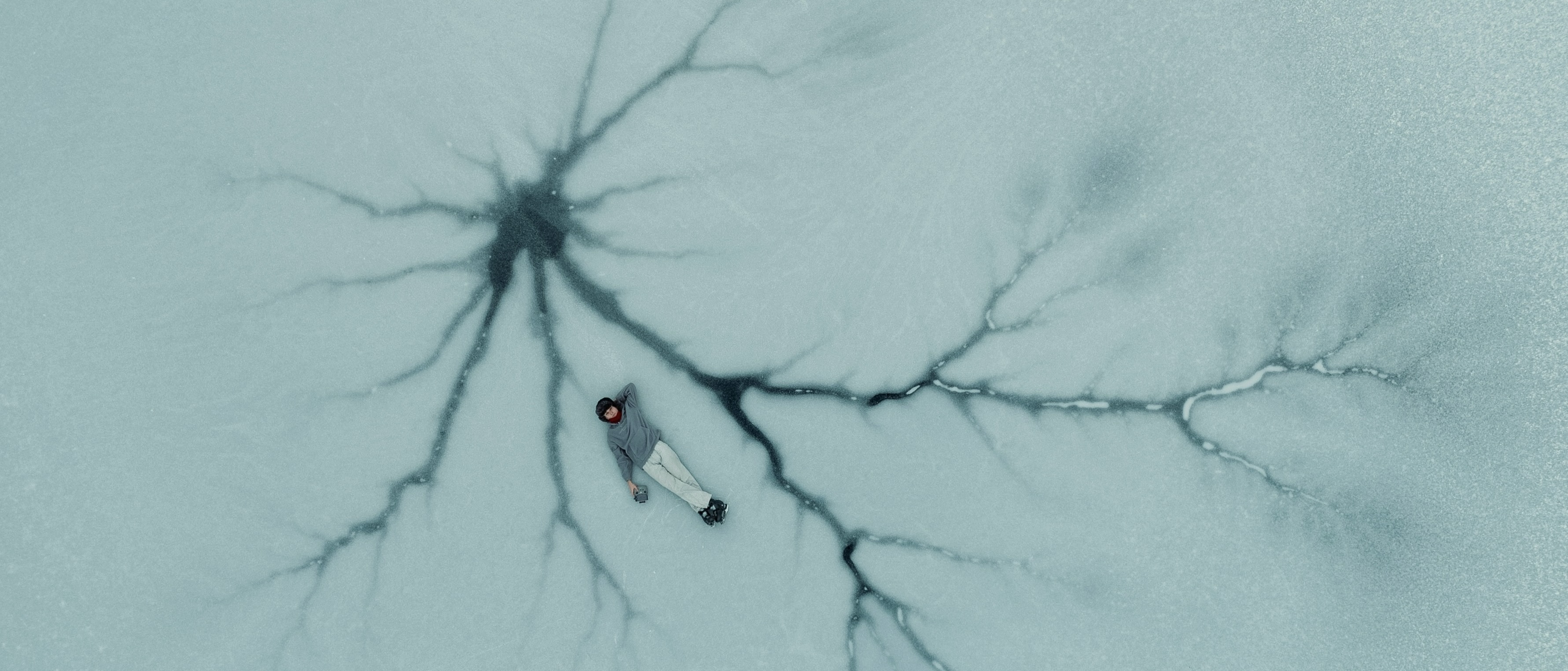 Quantifying Brain Ageing with Novel Multimodal AI